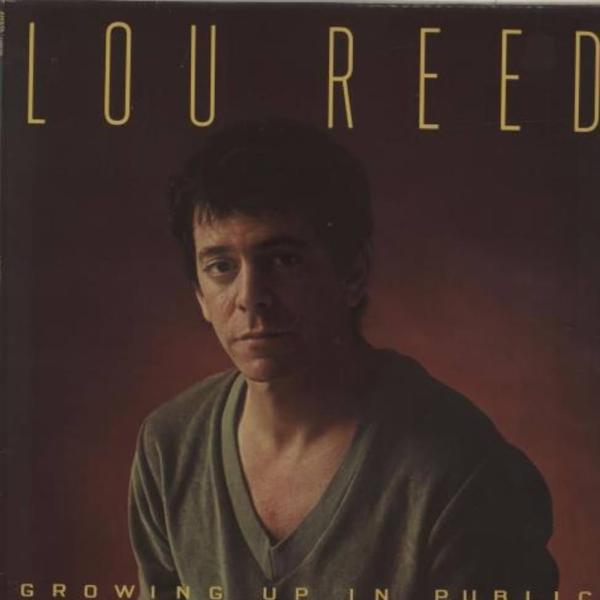 The Velvet Underground (and after) Growing Up in Public American Hit