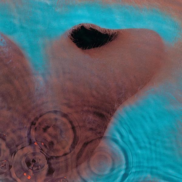 Pink Floyd: Meddle
