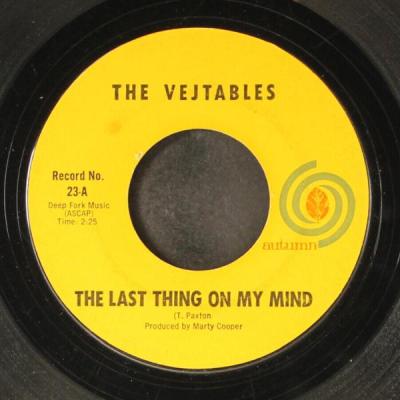 The Vejtables - The Last Thing on My Mind
